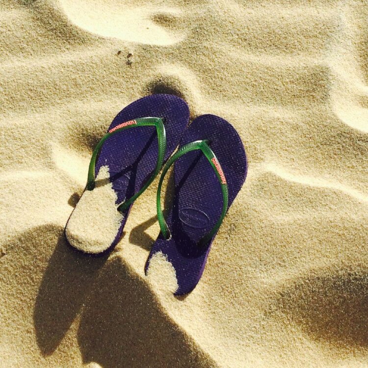 Flip flops Bully (demo)